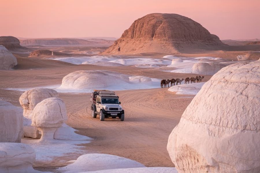 White & Black Desert – Essential Desert Experience