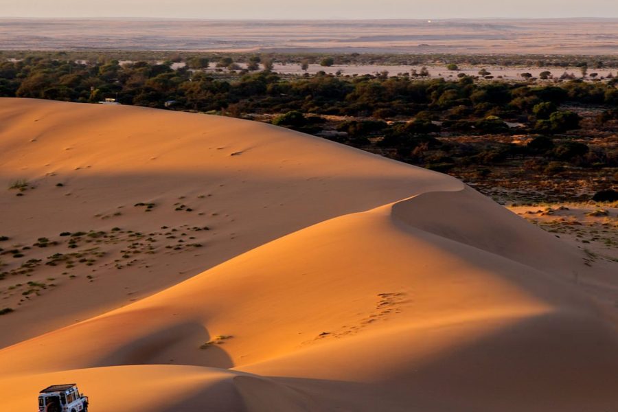 Fayoum Oasis – Where Desert, Water & Memory Meet