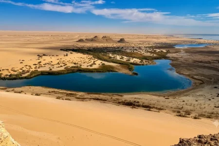 Fayoum Oasis Tour – Desert, Water & Ancient Echoes